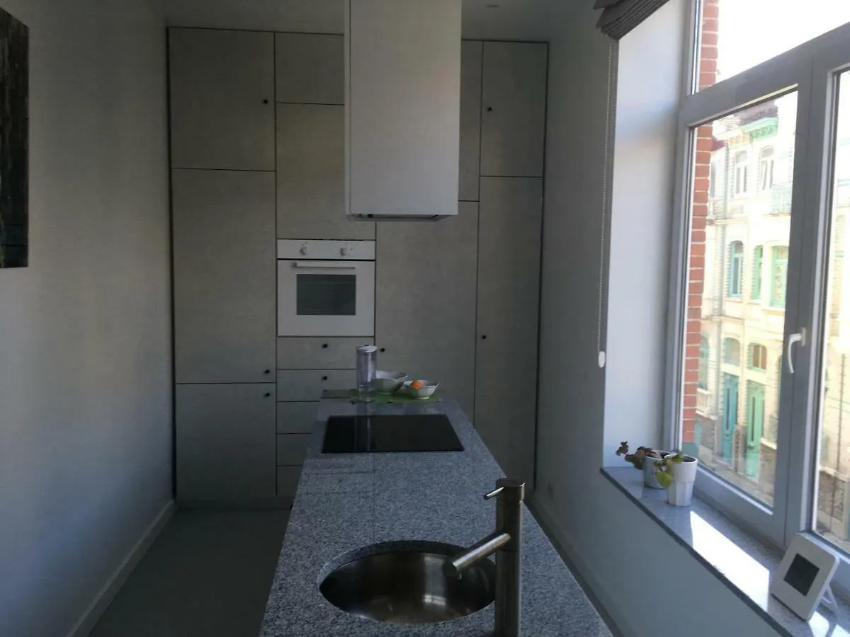 公寓 Chic & Cosy In Villa 300M From Beach Free P In Street 奥斯滕德